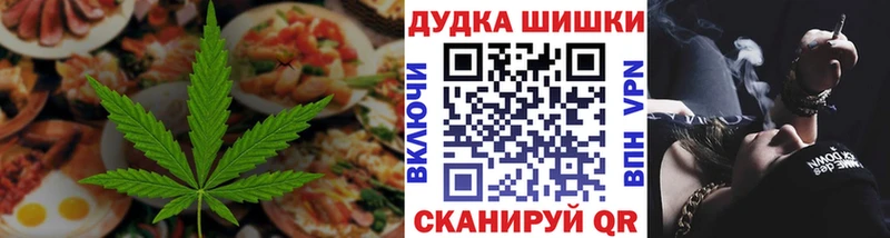 наркота  Сясьстрой  Cannafood конопля 