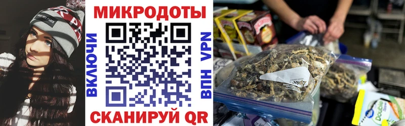 Галлюциногенные грибы ЛСД Сясьстрой