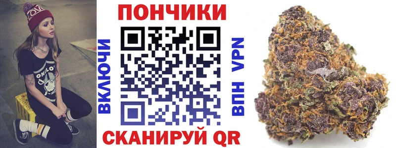 Конопля Ganja  Сясьстрой 